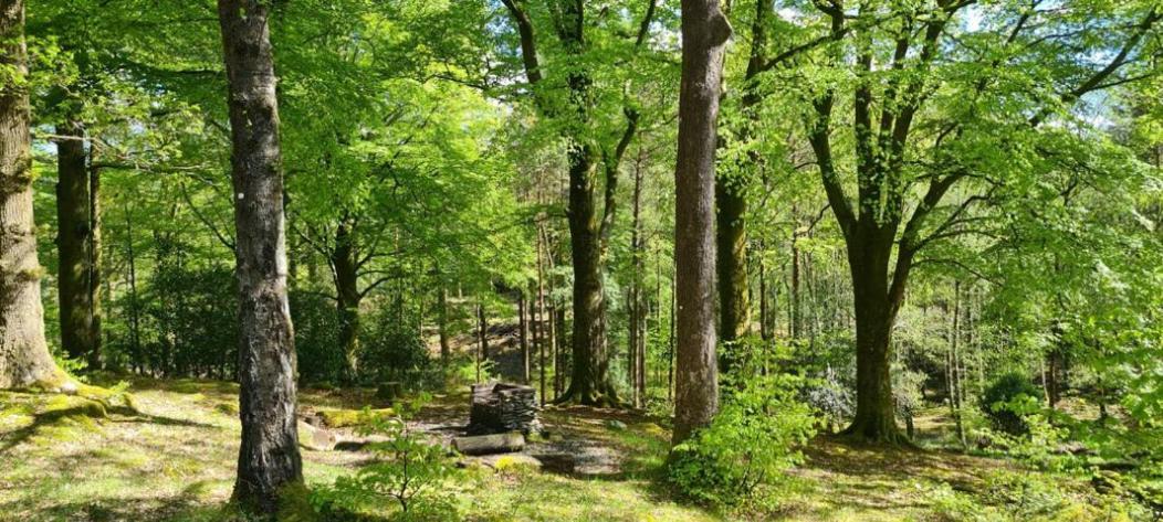 Affittacamere Brathay Hall - Brathay Trust Ambleside